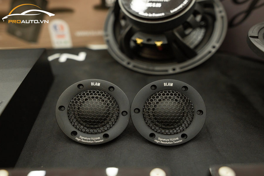 Loa Treble thương hiệu Blam