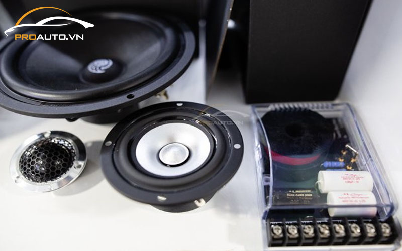 Loa Mid thương hiệu Micro Precision