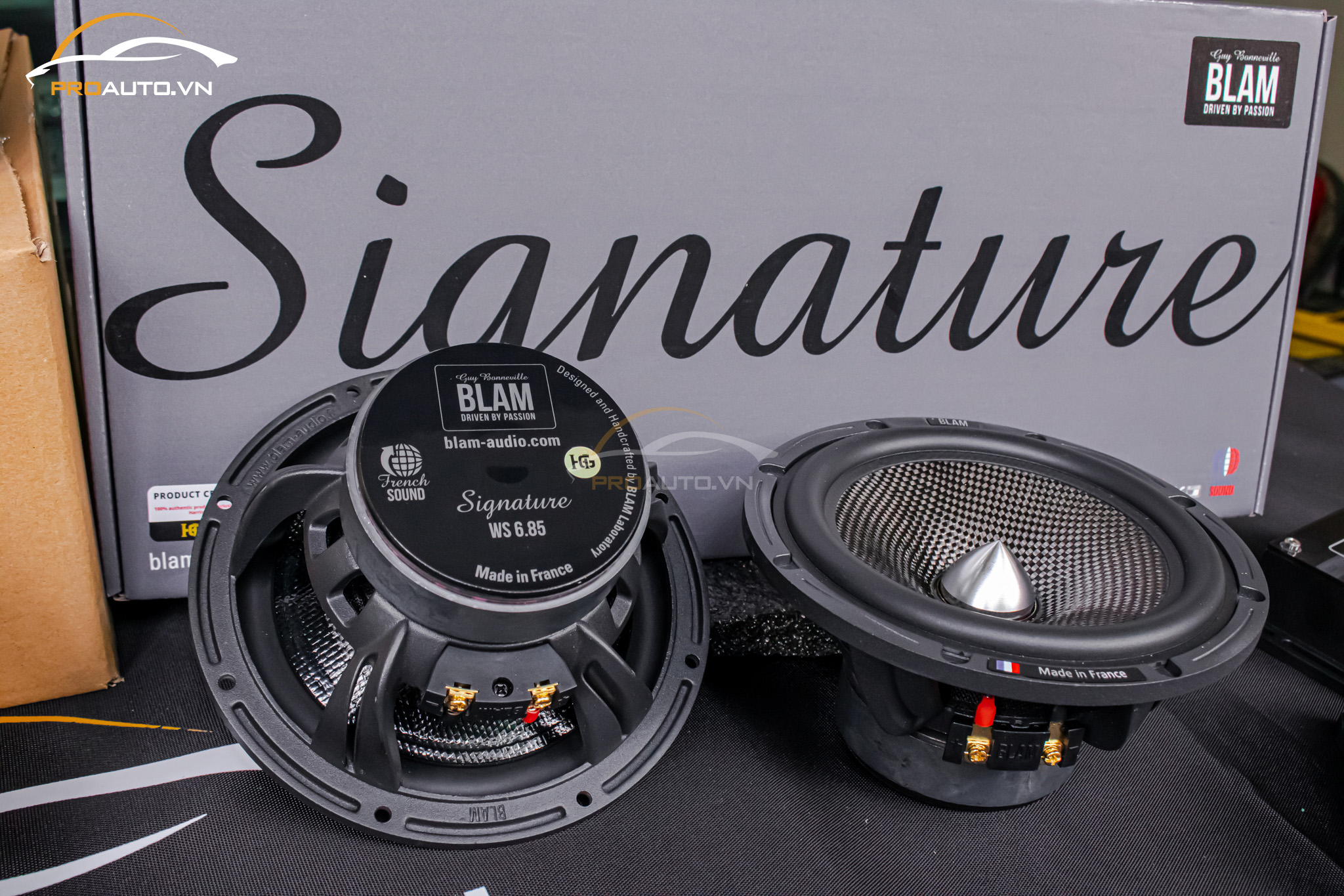 Thông số đặc trưng của loa xe hơi