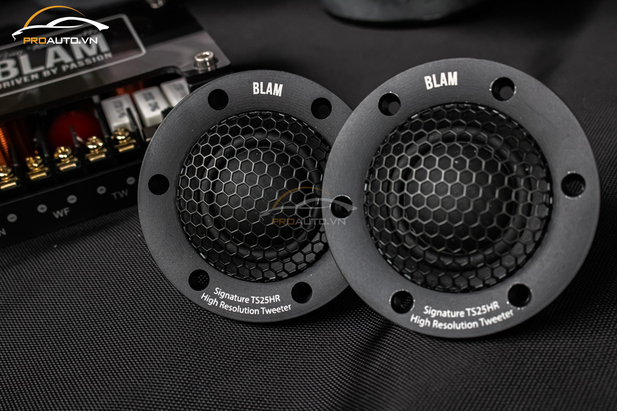 Loa Treble (loa tweeter - loa trép)