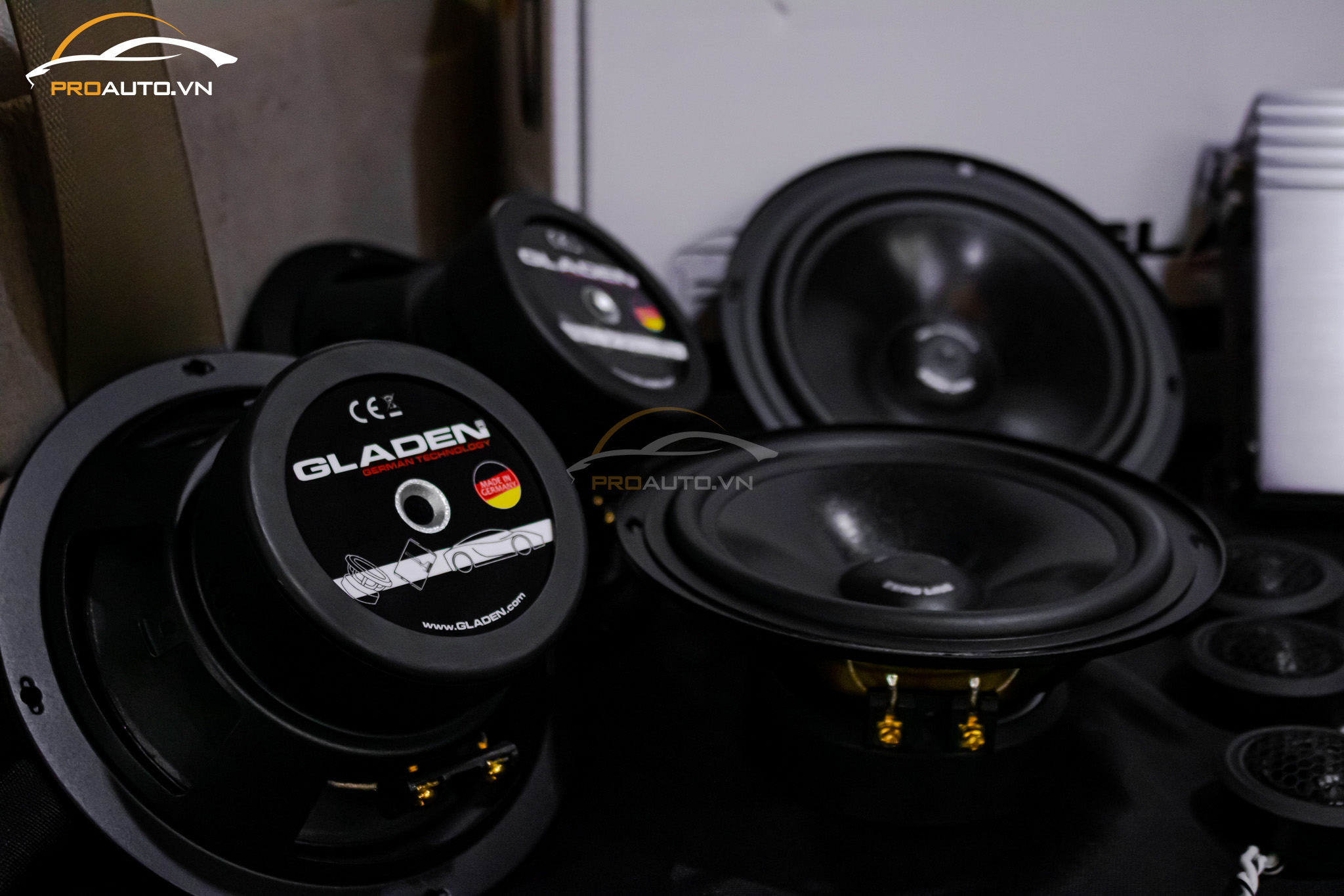 Loa Woofer ( Loa Bass- Loa trầm)