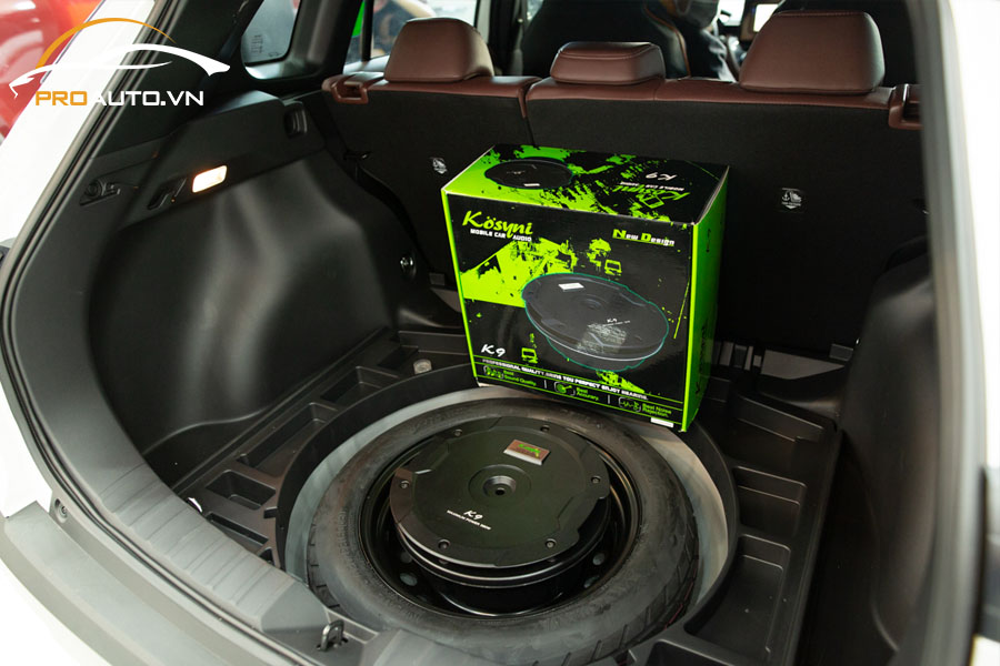 Loa Sub điện bánh sơ cua thương hiệu Kosyni