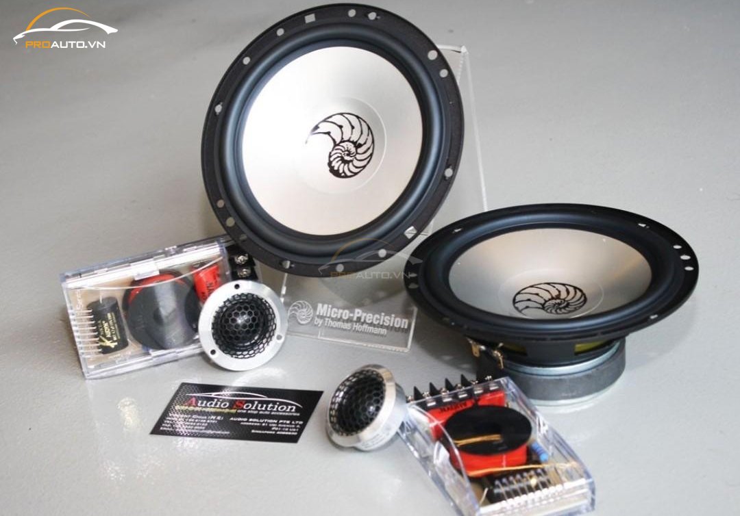 Loa 2 way Micro-Precision Series 5