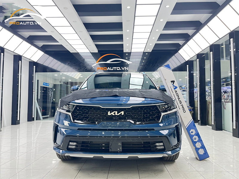 Dán PPF cho xe KIA Carnival