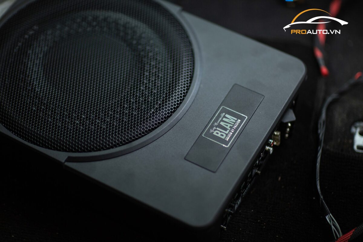 Blam MSA 25 SubWoofer