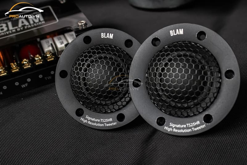 Có nên độ loa Treble cho ô tô không?