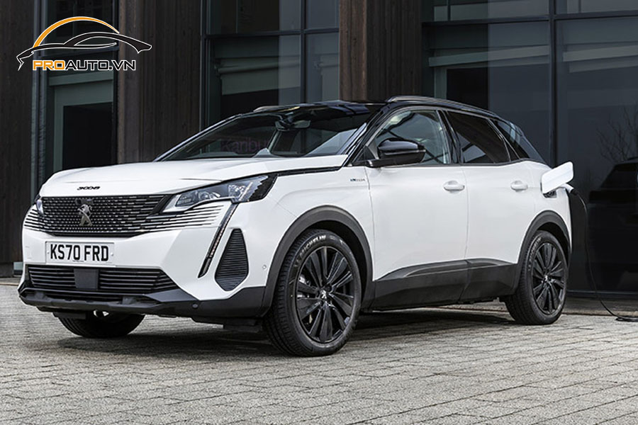 Do mam PEUGEOT 3008 Hinh 10