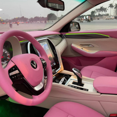 Bọc da thân con ngựa xe Vinfast Lux A2.0