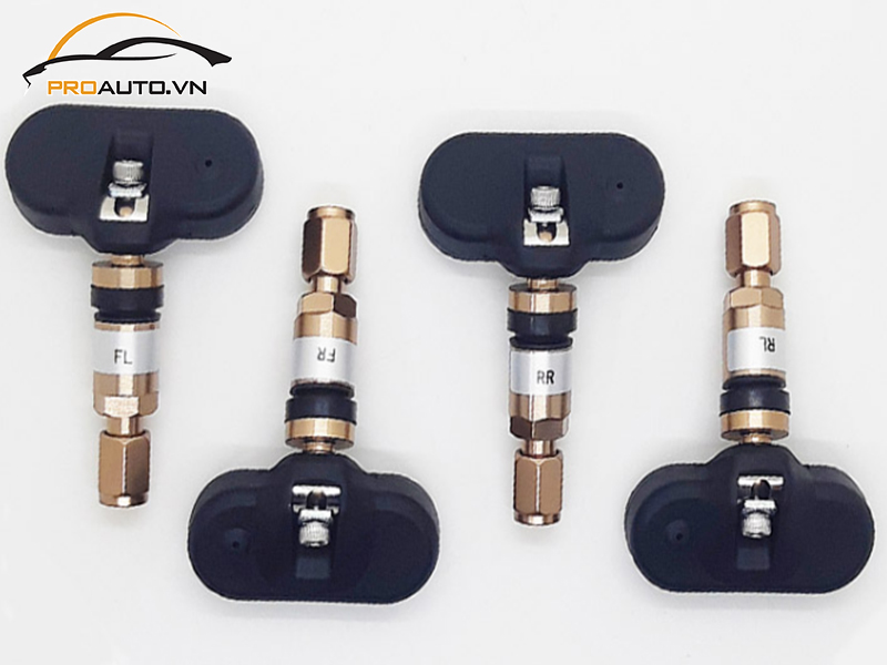 Lắp Cảm Biến Áp Suất Lốp Cho Xe Porsche Cayenne