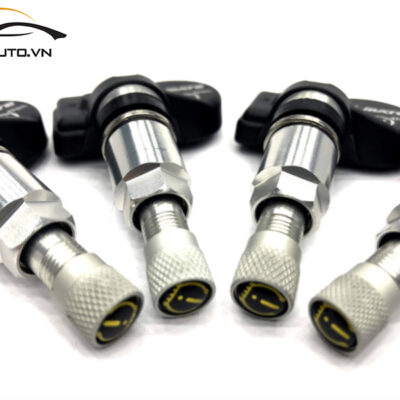 cam bien ap suat lop xe Escape 4 1