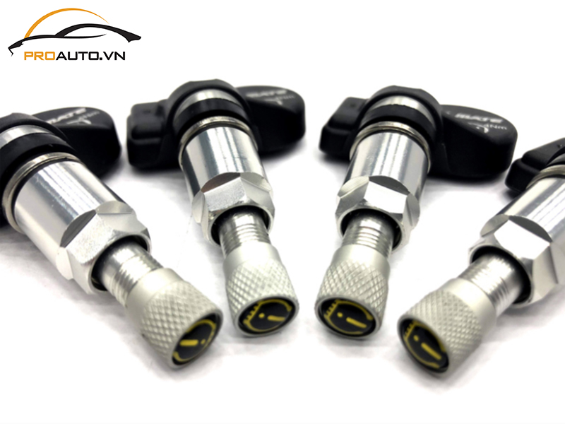 Lắp Cảm Biến Áp Suất Lốp Cho Xe Ford Escape