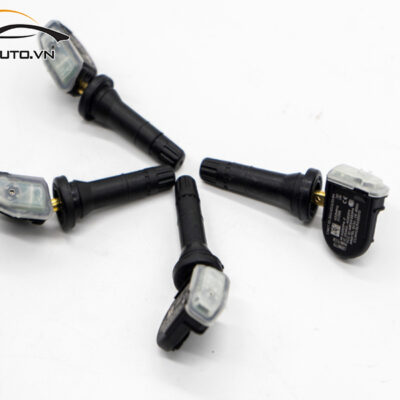 cam bien ap suat lop xe Lux SA2 6 1