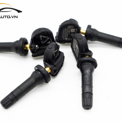 cam bien ap suat lop xe Series 5 1 1