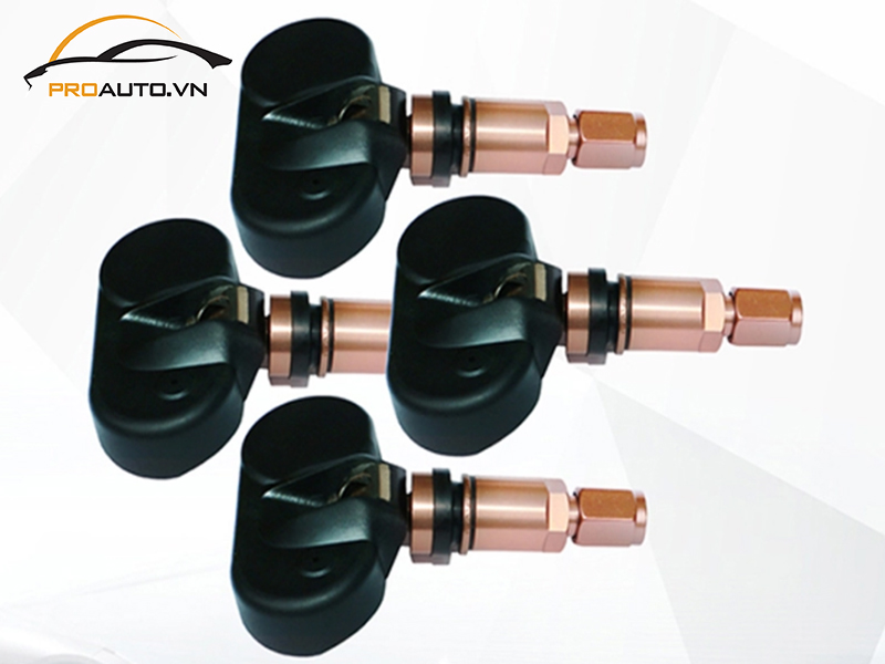 Lắp Cảm Biến Áp Suất Lốp Cho Xe BMW Series 5