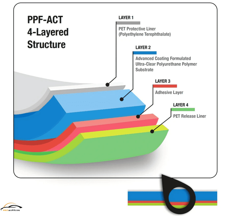 CẤU TẠO LỚP PPF