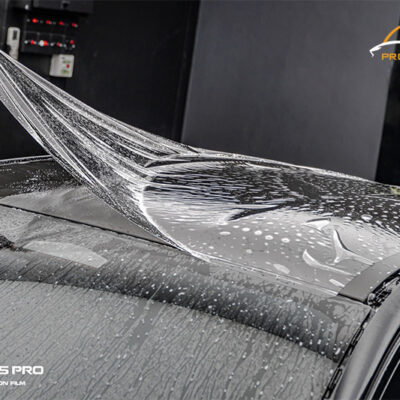 dan ppf cho xe subaru forester 2024 1