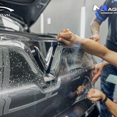 dan ppf magnus pro chinh hang 1