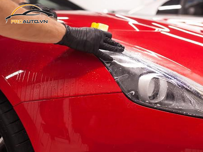 dan ppf xe BMW M Series 10