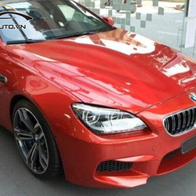 dan ppf xe BMW M Series 6 1