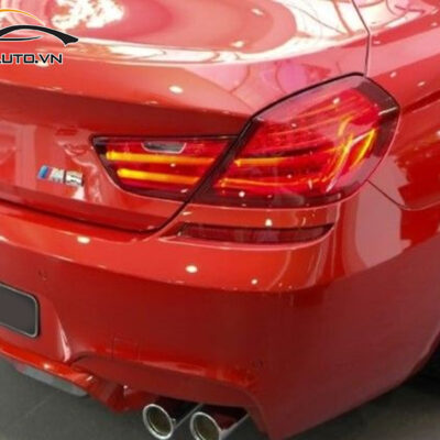 dan ppf xe BMW M Series 8 1