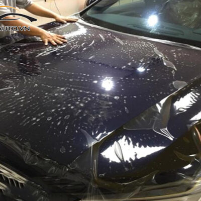 dan ppf xe Elantra 1 1