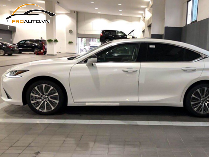 Dán phim PPF xe Lexus ES 250 - Ảnh 3