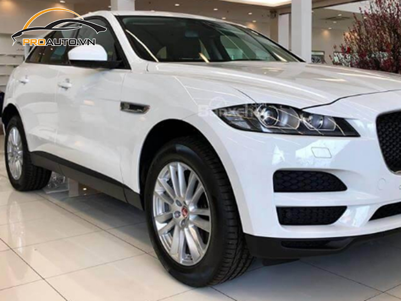 Dán phim PPF xe Jaguar F-Pace