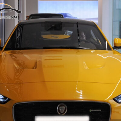 dan ppf xe F Type 2 1