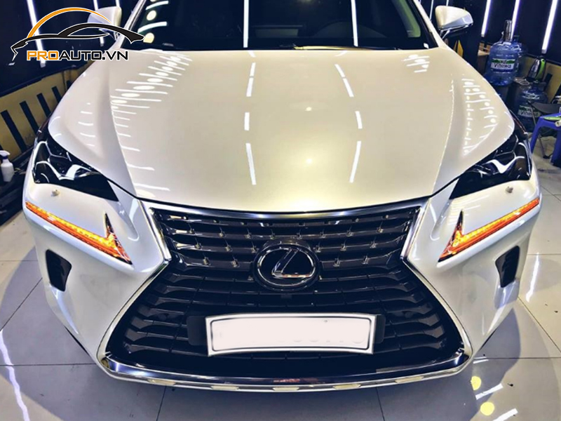 Dán phim PPF xe Lexus Luxury Sedan