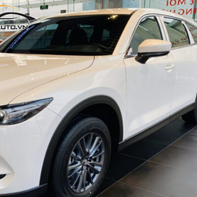 dan ppf xe Mazda CX 8 4 1