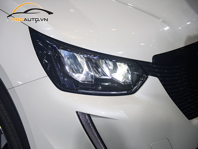 dan ppf xe Peugeot 2008 2