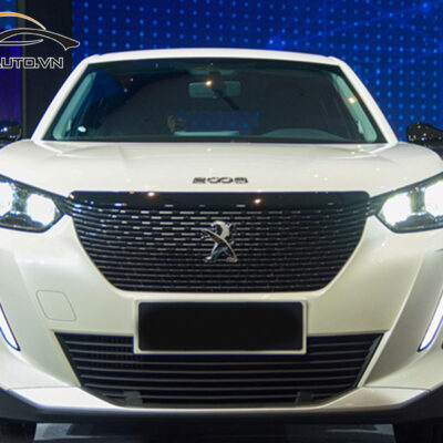 dan ppf xe Peugeot 2008 3 1