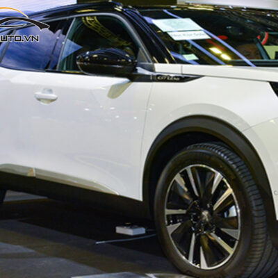 dan ppf xe Peugeot 2008 6 1