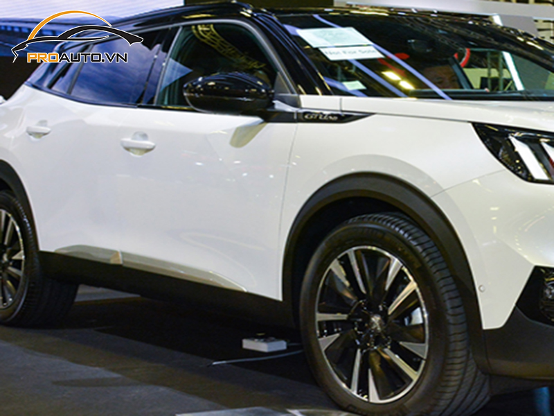 dan ppf xe Peugeot 2008 6