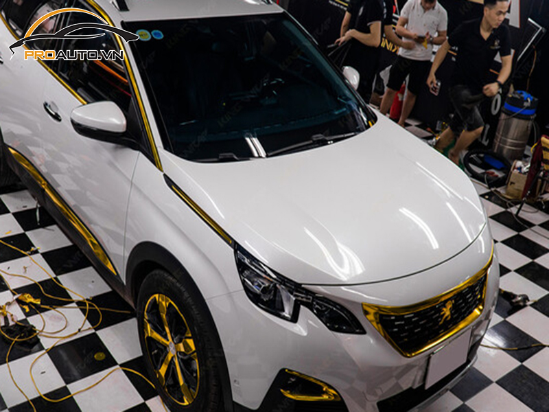 dan ppf xe Peugeot 2008 8