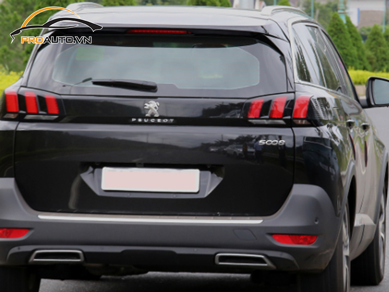 dan ppf xe Peugeot 5008 11