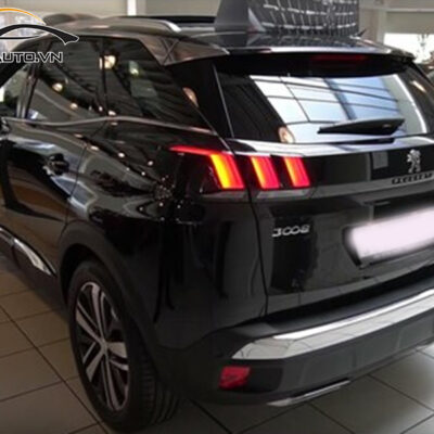 dan ppf xe Peugeot 5008 2 1