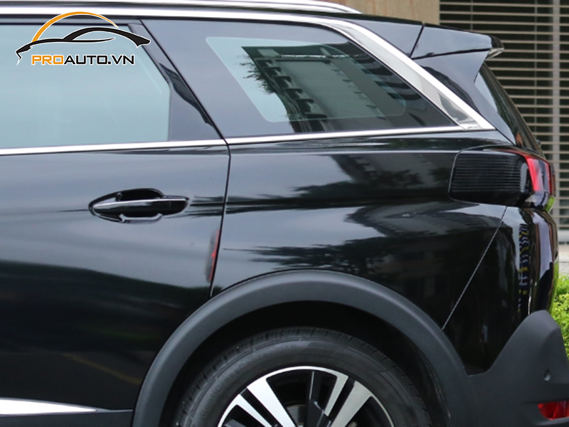 dan ppf xe Peugeot 5008 9