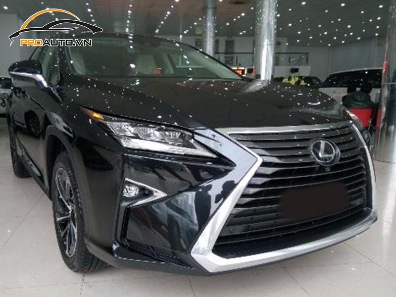 dan ppf xe RX 350 10