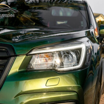 dan ppf xe Subaru Forester 2 1