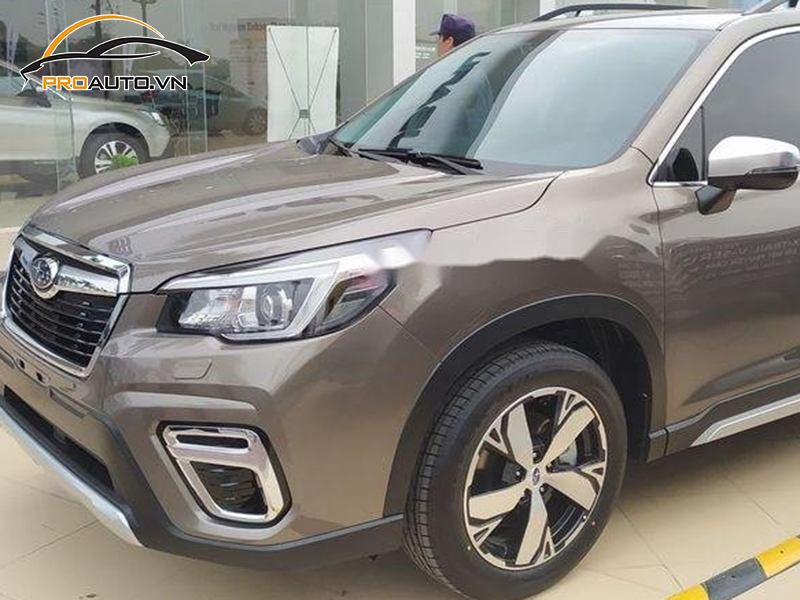 Dán phim PPF xe Subaru Forester - Ảnh 5