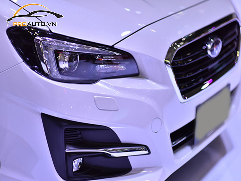 Dán phim PPF xe Subaru Levorg