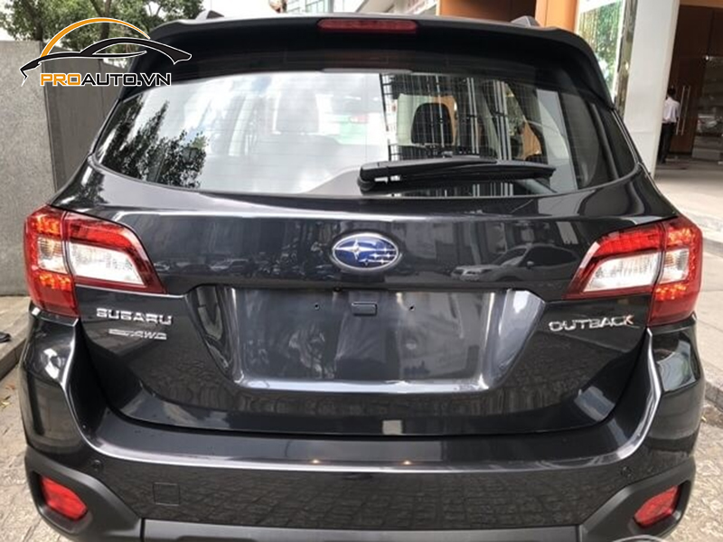 Dán phim PPF xe Subaru Outback