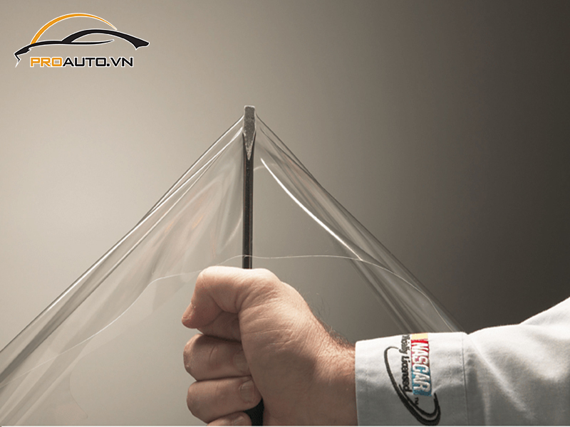 Dán phim PPF xe Toyota Wigo