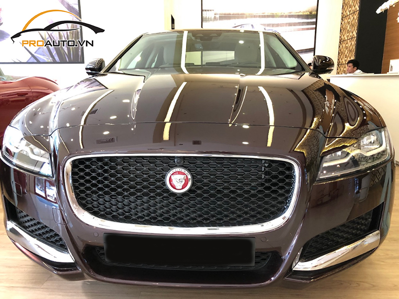 Dán phim PPF xe Jaguar XF