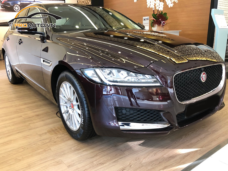 Dán phim PPF xe Jaguar XF