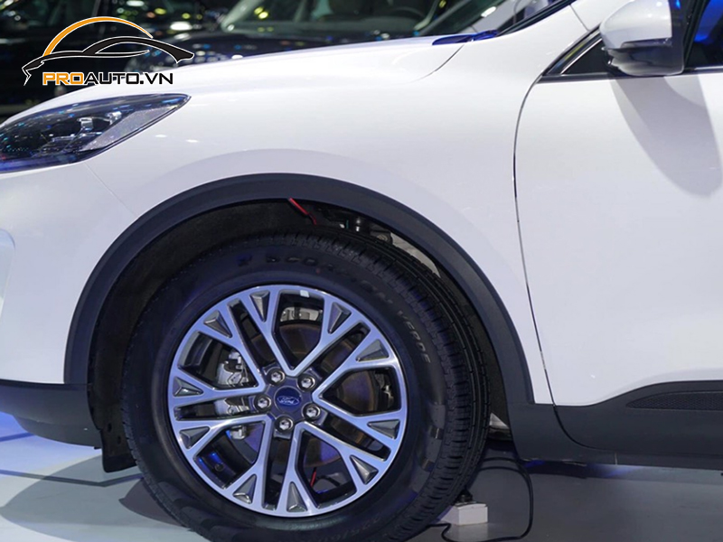 Dán phim PPF xe Ford Escape