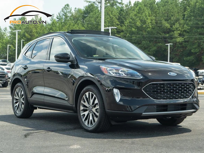 Dán phim PPF xe Ford Escape