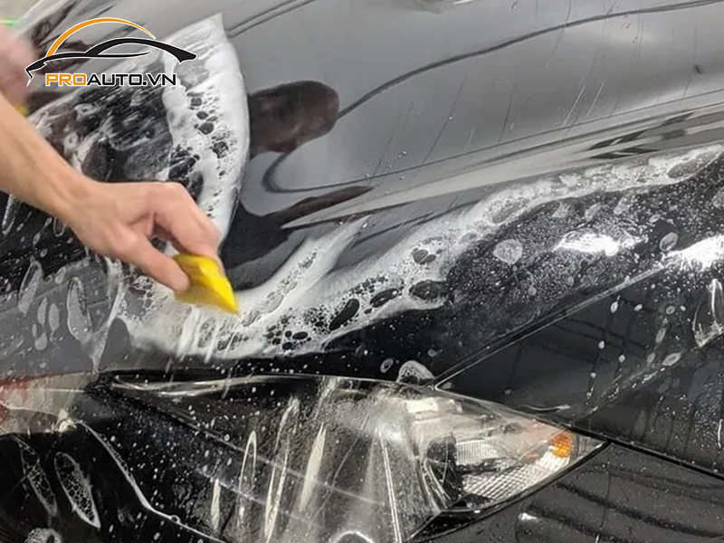 Dán phim PPF xe Ford Focus