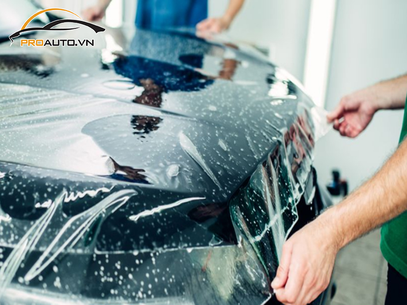 Dán phim PPF xe Ford Tourneo